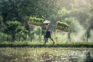 farm-environment