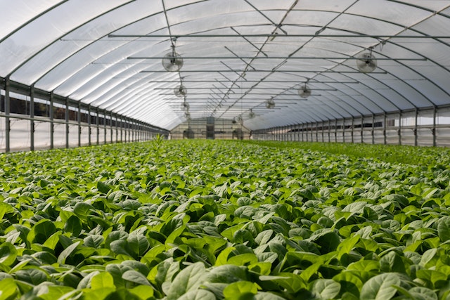 Farming